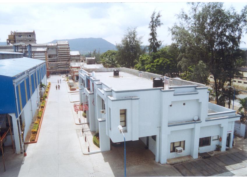 plant-patalganga